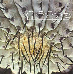 cactus cover